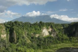 IMG_1066 (FILEminimizer)