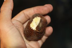 IMG_1173 (FILEminimizer)