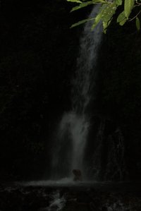 IMG_1290 (FILEminimizer)