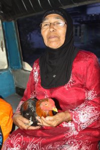 IMG_1381 (FILEminimizer)