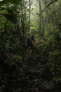 IMG_1384 (FILEminimizer)