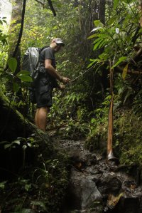 IMG_1386 (FILEminimizer)