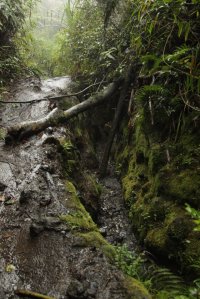 IMG_1410 (FILEminimizer)