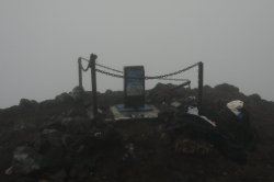 IMG_1413 (FILEminimizer)