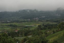 IMG_1492 (FILEminimizer)