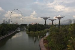 IMG_9003 (FILEminimizer)