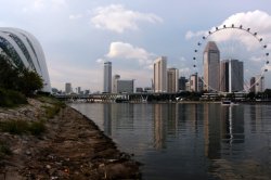 IMG_9009´ (FILEminimizer)