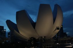 IMG_9066 (FILEminimizer)