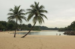 IMG_9200 (FILEminimizer)