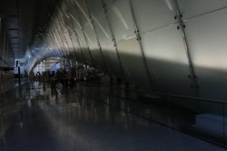 IMG_9225 (FILEminimizer)