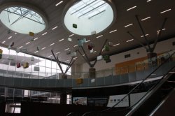 IMG_9238 (FILEminimizer)