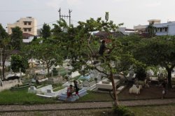 IMG_9271 (FILEminimizer)