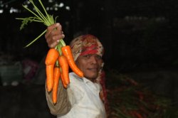 IMG_9416 (FILEminimizer)