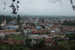 IMG_9426 (FILEminimizer)