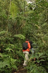 IMG_9466 (FILEminimizer)