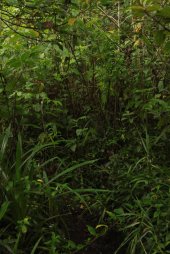 IMG_9491 (FILEminimizer)