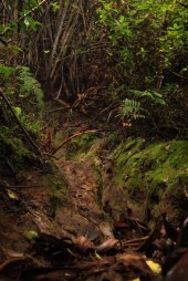 IMG_9497 (FILEminimizer)