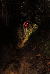 IMG_9508 (FILEminimizer)