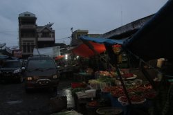 IMG_9593 (FILEminimizer)