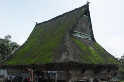 IMG_9652 (FILEminimizer)