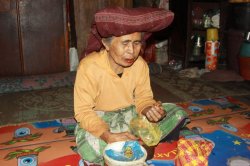 IMG_9669 (FILEminimizer)