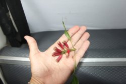 IMG_9705 (FILEminimizer)