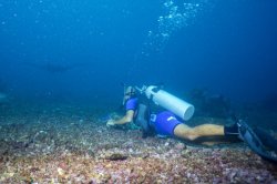 DSC02040 (FILEminimizer)