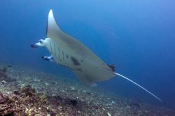 DSC02067 (FILEminimizer)