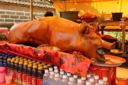 IMG_1564 (FILEminimizer)