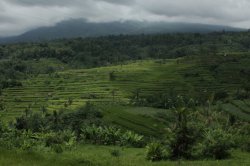 IMG_1616 (FILEminimizer)