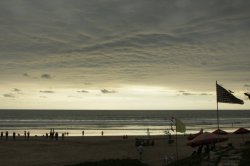 IMG_1727 (FILEminimizer)