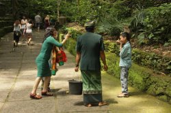 IMG_1779 (FILEminimizer)