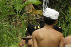 IMG_1845 (FILEminimizer)