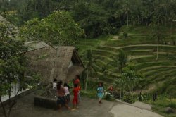 IMG_1884 (FILEminimizer)