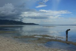 IMG_2073 (FILEminimizer)