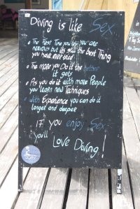 IMG_2082 (FILEminimizer)