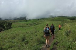 IMG_2176 (FILEminimizer)