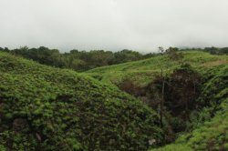 IMG_2182 (FILEminimizer)