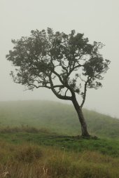 IMG_2222 (FILEminimizer)