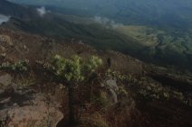 IMG_2425 (FILEminimizer)