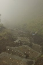 IMG_2499 (FILEminimizer)