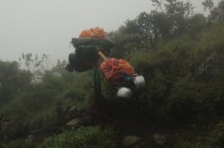 IMG_2504 (FILEminimizer)