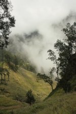 IMG_2520 (FILEminimizer)