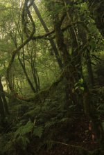 IMG_2587 (FILEminimizer)