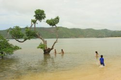 IMG_2625 (FILEminimizer)