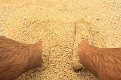 IMG_2643 (FILEminimizer)