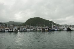 IMG_2785 (FILEminimizer)