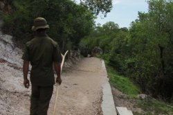 IMG_2860 (FILEminimizer)