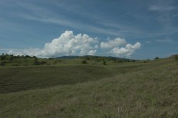 IMG_2930 (FILEminimizer)