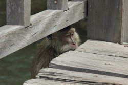 IMG_2958 (FILEminimizer)